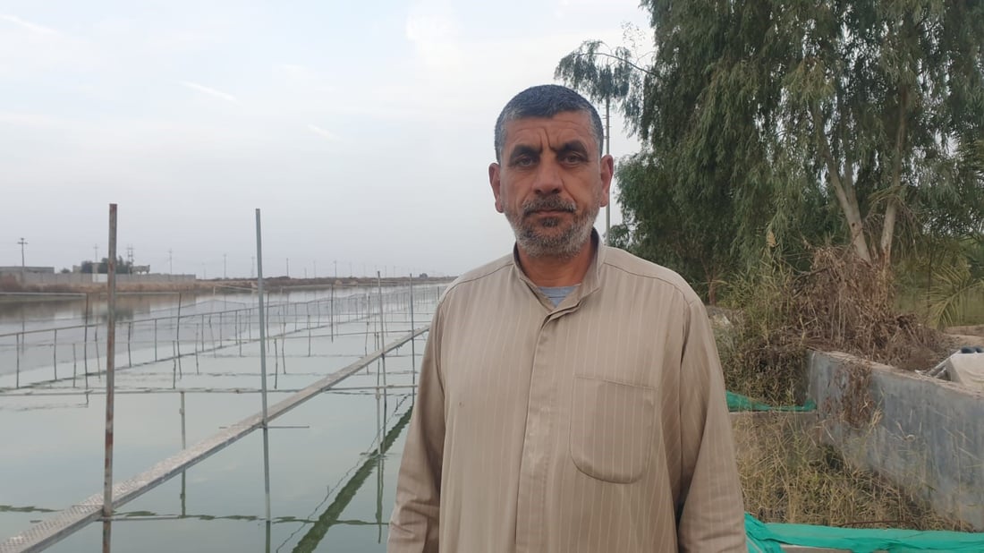صور: تجربة في البصرة لمنافسة “الكارب”.. مزرعة “بلطي” تغامر في أكبر أسواق السمك