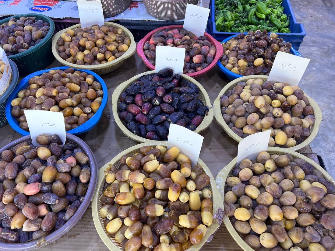 صور: “جمرة” كربلاء أغلى من “برحي” البصرة.. يباع جنوباً بـ3000 وسعر كركوك 9