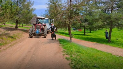 بۆ ئەوەی لە هاویندا دوور بێت لە ئاگر دارستانەکانی زەڕایەن دەرمانڕێژ کران