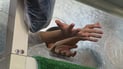 لە یادی مەولودا 1000 لەفەی بەخشیوە و کردوویەتی بە خێر