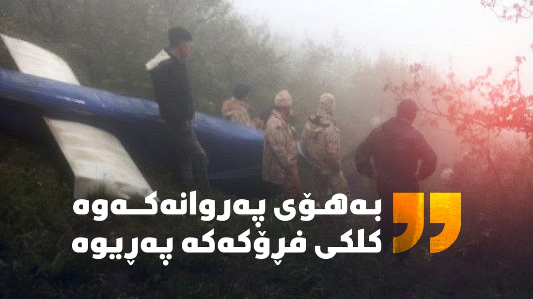 +964صورة من منصة (شبكة): 