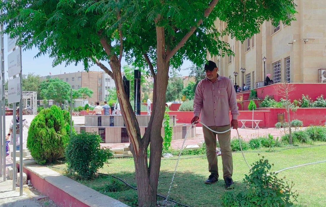 صور مدهشة من جامعة الموصل: “السبحبح” يكبر ويغطي الحدائق.. والسورية تتحمل تموز