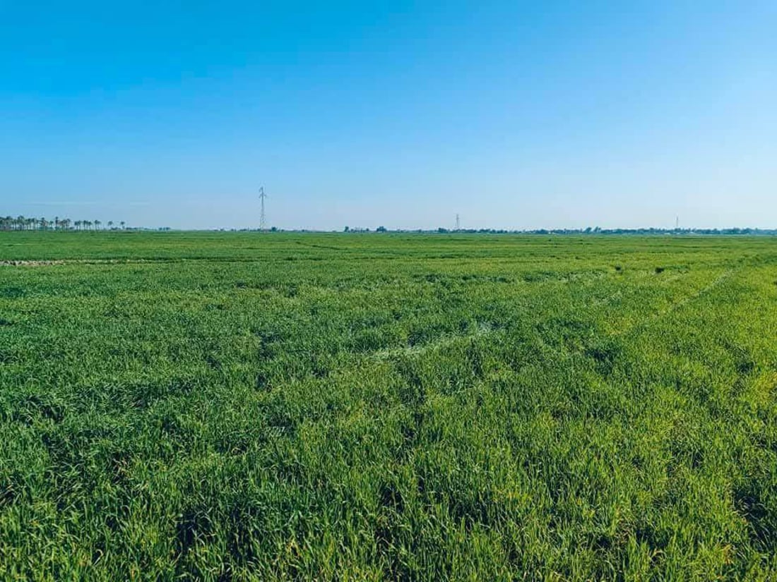 صور من النجف لعمليات كري ورفع ترسبات حوض الفرات