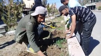 صور: آلتون كوبري لا تزرع 