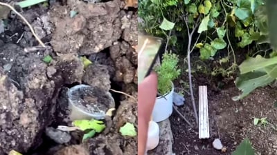 گولـلەتۆپێک کەوتە ناو حەوشەی ماڵێکی گوندی گوهەرزێ