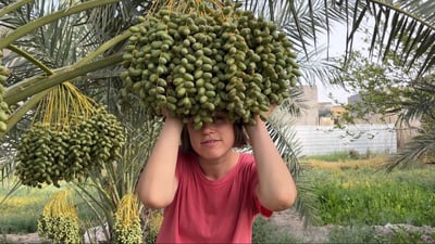 فيديو: معلمة روسية في البصرة ترعى الجواميس وتعشق “مسكوف تمر الهند”