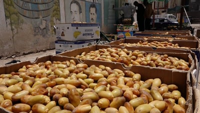 Farmers and traders navigate the bustling date market in Khan Al-Marhoom Hajj Lafta bazar