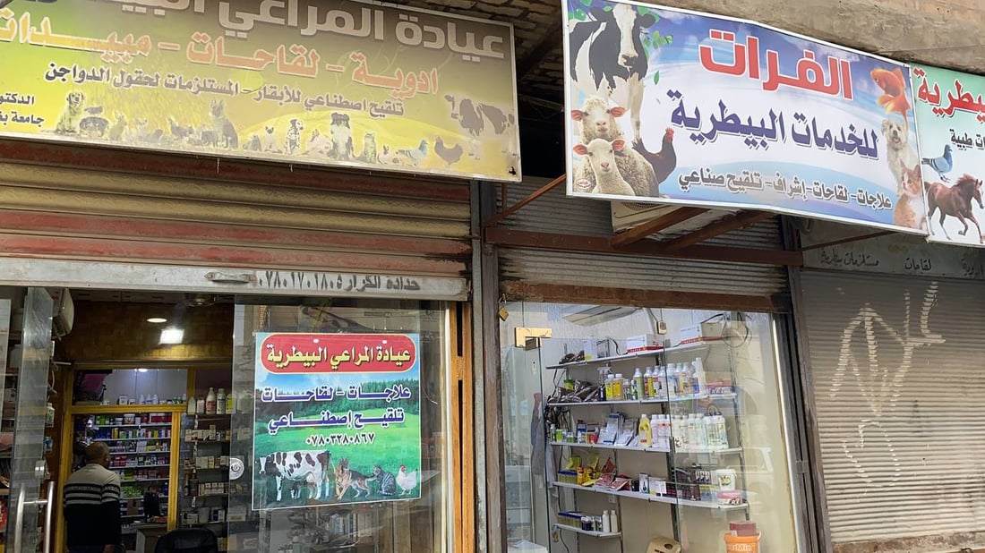 بالصور: حيوانات أليفة في المنازل تنعش العيادات البيطرية بالناصرية