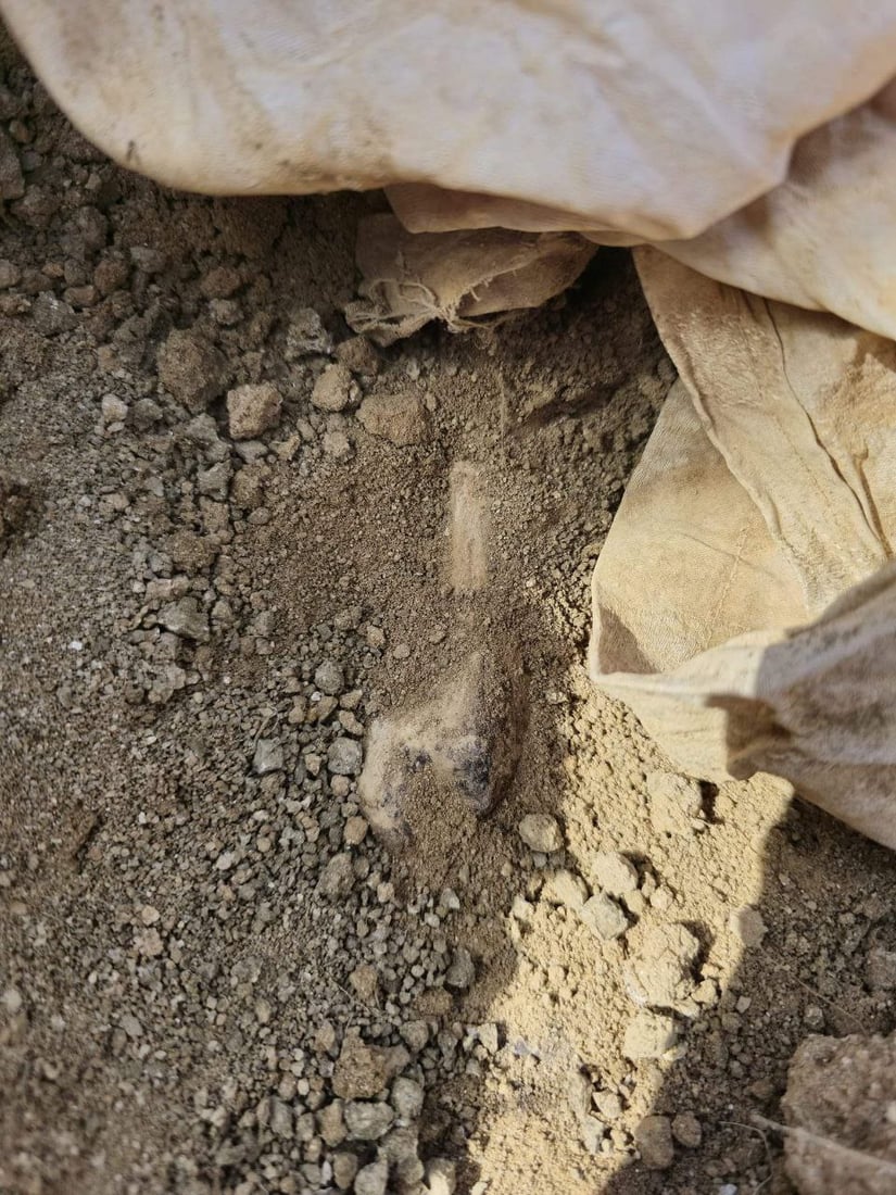 صور من سنجار: عمال البلدية يعثرون على المقبرة الجماعية الـ93