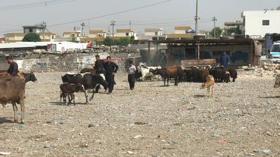 دژی داخستنی شوێنی كاركردنیان كاسبكارانی مەیدانی ئاژەڵانی سلێمانی گردبونەتەوە