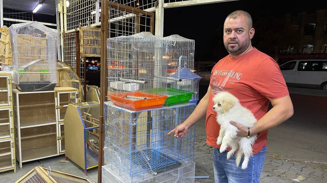 “تيرير” الفرنسي قد يكون أفضل كلب تبدأ معه رحلتك.. بيطري بغدادي