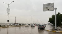صور: بساتين الناصرية تحصل على ريّة كاملة بفضل الأمطار.. ...