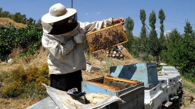 هەنگەوانان فێری بەخێوکردنی هاوچەرخ دەکرێن