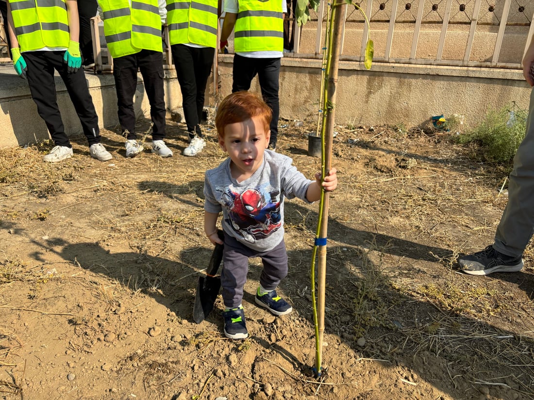 ‘Grow with It’: Environmental campaign brings tree to Ainkawa school