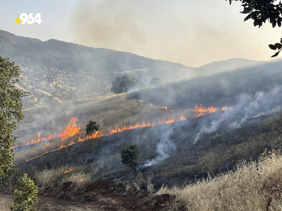 مانگی رابردوو شارباژێڕ پشکی شێری بەرکەوت لە ئاگردا