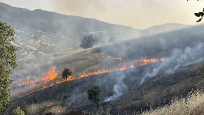 مانگی رابردوو شارباژێڕ پشکی شێری بەرکەوت لە ئاگردا