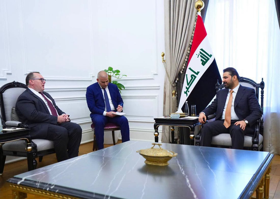 Zaidi meets US charge d’affaires to discuss bilateral ties and investment