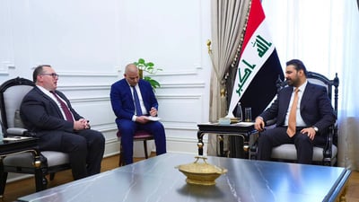 Zaidi meets US charge d’affaires to discuss bilateral ties and investment