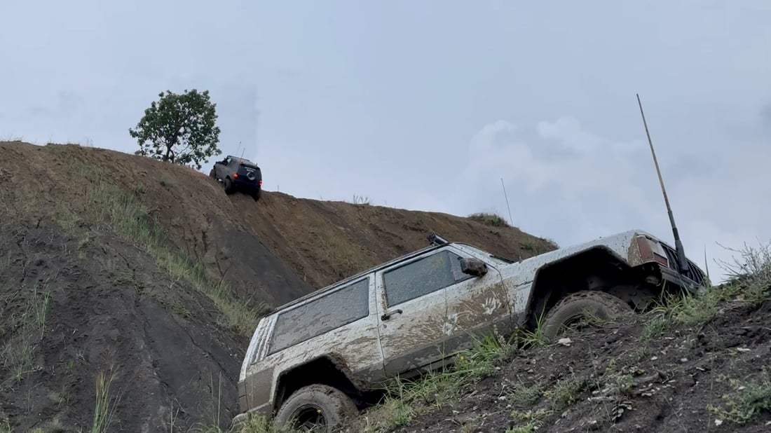 لەپاڵ پێشبڕکێی ئۆفڕۆد باڵندەش ئازاد دەکەن