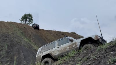 لەپاڵ پێشبڕکێی ئۆفڕۆد باڵندەش ئازاد دەکەن