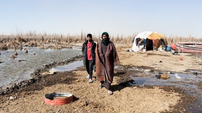 Al-Chibayish’s last buffalo breeder confronts severe drought in Iraq’s marshes