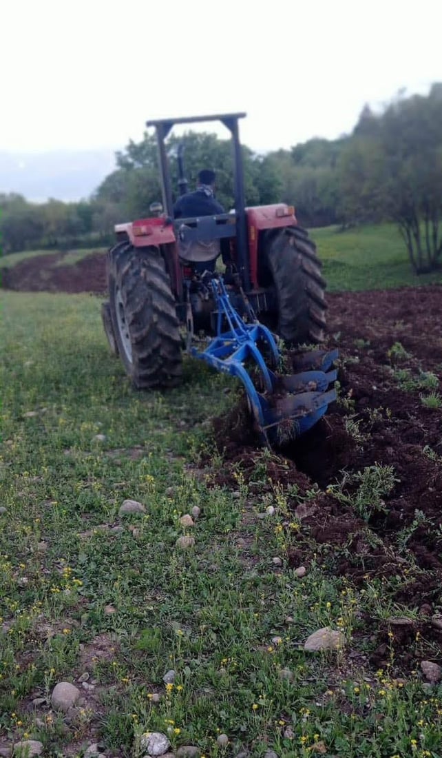 هه‌ڵمه‌تى ئاگربڕ له‌ دارستانه‌كانى سنوورى سلێمانى ده‌ستیپێكردووه‌