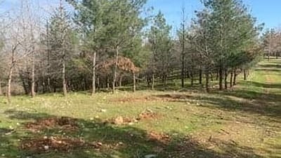 لە سلێمانی دارستانەکان لە ئاگرکەوتنەوە دەپارێزرێن