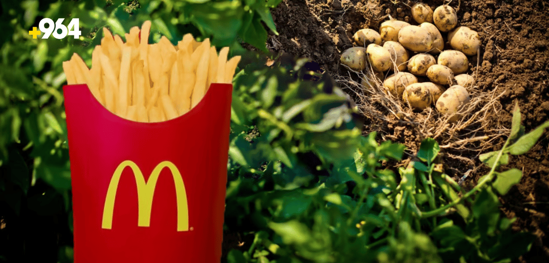 Kurdistan region supplies potatoes to regional McDonald’s branches