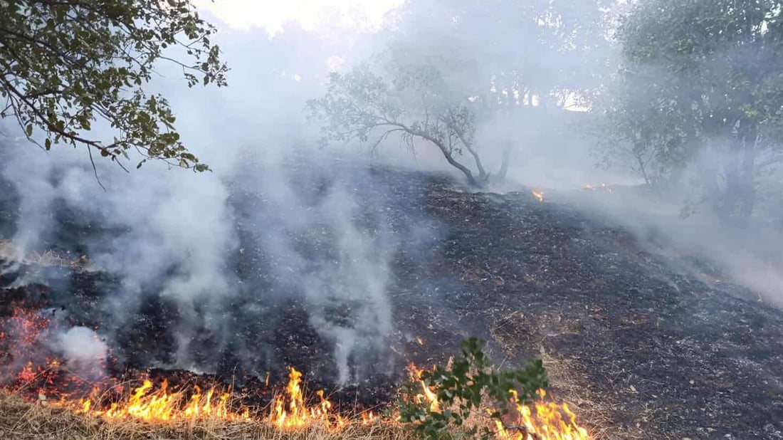 تۆمەتبارێک لەسەر سووتاندنى 500 دۆنم پوش و پاوان و دارستان دەستگیرکرا