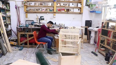 باعة الطيور في الكوت لن يقاسموا تجار بغداد أرباحهم.. لقد تعلمنا صنع الأقفاص!