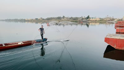 فيديو: شباك الصيادين تعود بسمكة لا يحبها أهل البصرة.. لا “بنّي” ولا “كطان”