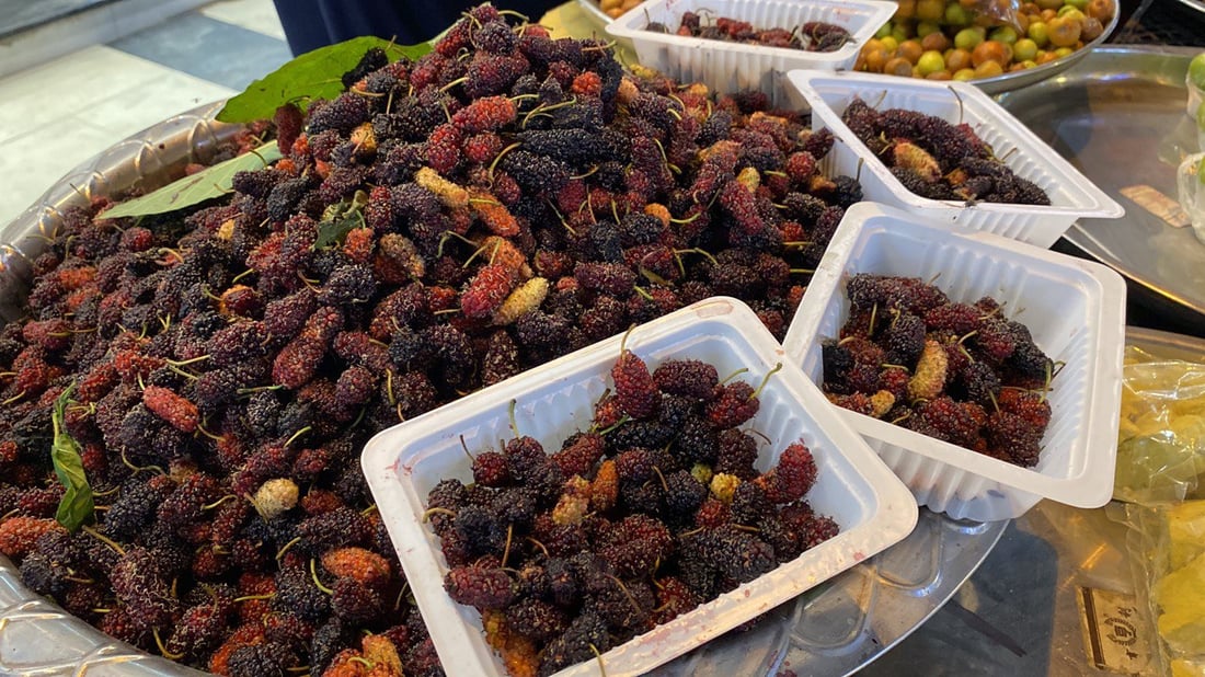 صور: “التكي” العراقي يصل إلى الناصرية.. الأسود والأحمر أرخص من التركي