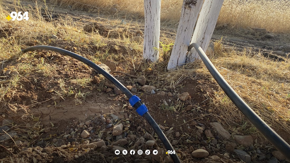 دەروازەی هەورامان زیندوو دەکرێتەوە