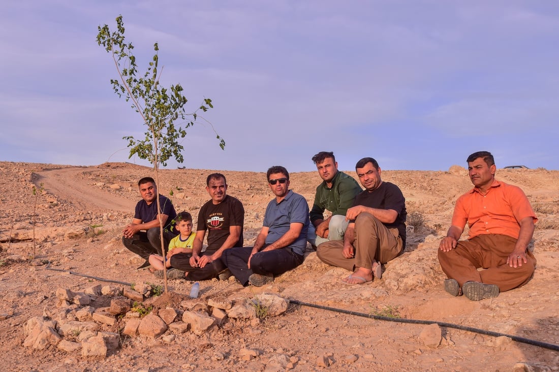 لەسەر چیای قەرەچوغ هەڵمەتێکی چاندنی دار توو و زەیتوون بەڕێوەچوو