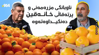 باخەوانێکی خانەقین: هۆکاری تامخۆشی پرتەقاڵی باخەکەم هی دار خورماکانە