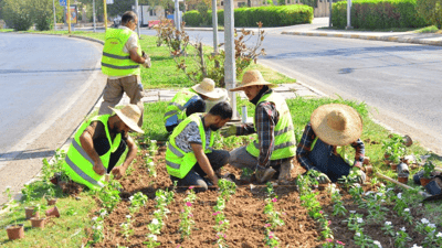هەولێر هەڵەبجەی بە گوڵ رازاندەوە