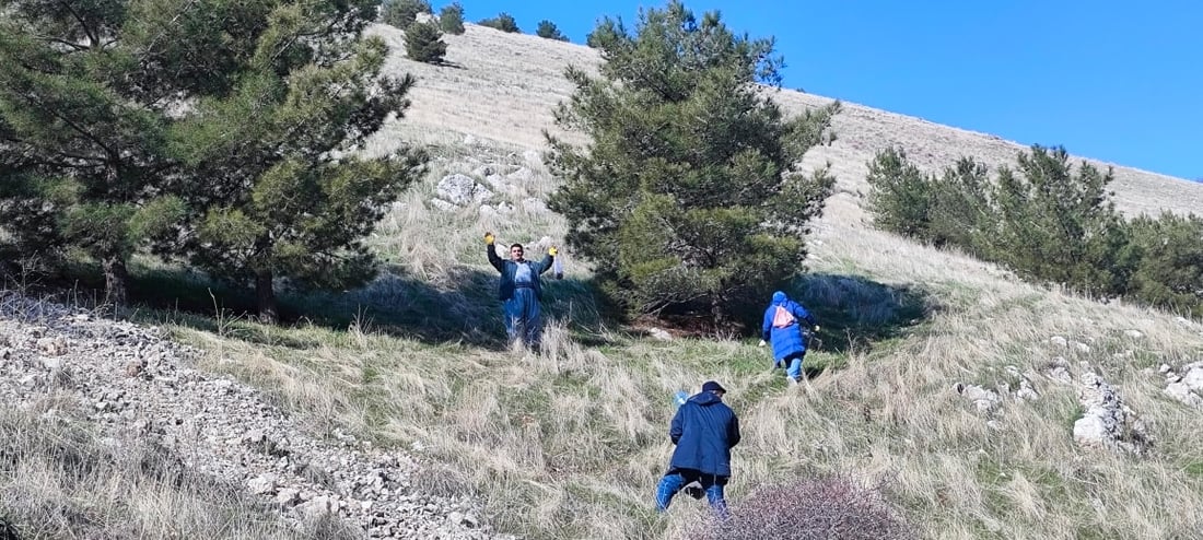 رووه‌كناسان 40 كیلۆ “به‌ڕوو”یان له‌ ئه‌زمه‌ڕ چاند