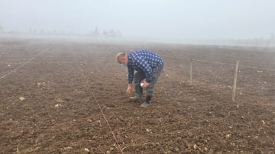 48 پێکهاتەی بۆماوەیی جۆ بۆ دۆزینەوەی تەرزێکی گونجاو دەچێنرێن