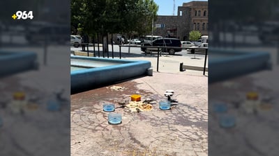 بە خەیاڵی خۆیان خزمەتیان بە باڵندەکان کردووە بەڵام ژینگەی پارکەکەیان تێکداوە
