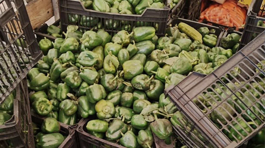 لە هەڵەبجە زیاتر لە سێ تەن بیبەر دەستیبەسەرداگیرا