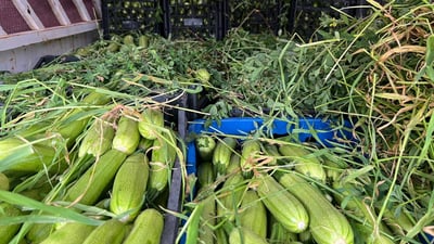 لە کۆنترۆڵ دەرنەچوو؛ بارێک کولەکە لە ناوبرا