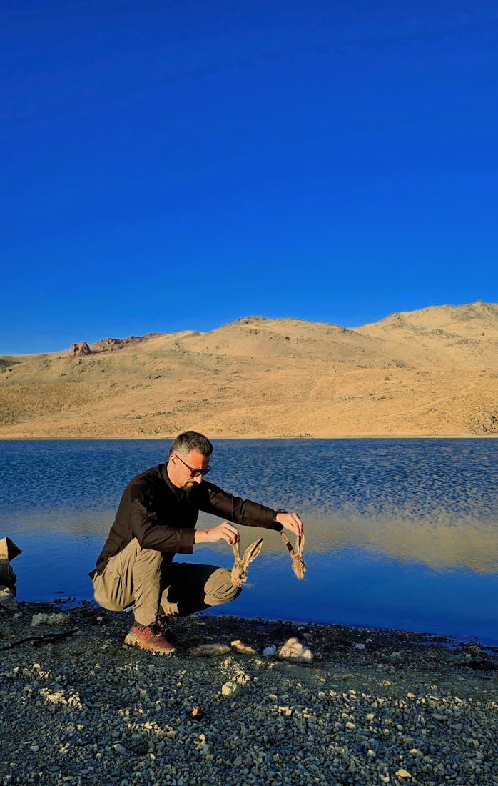 له‌ كوێستانێكی برادۆست راوى به‌كۆمه‌ڵى ئاژه‌ڵ و باڵنده‌ كێویه‌كان ده‌كرێت