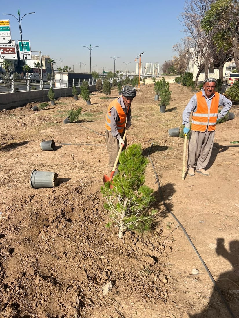 بە رواندنی پایزە سلێمانی سەوزتر دەکەن 
