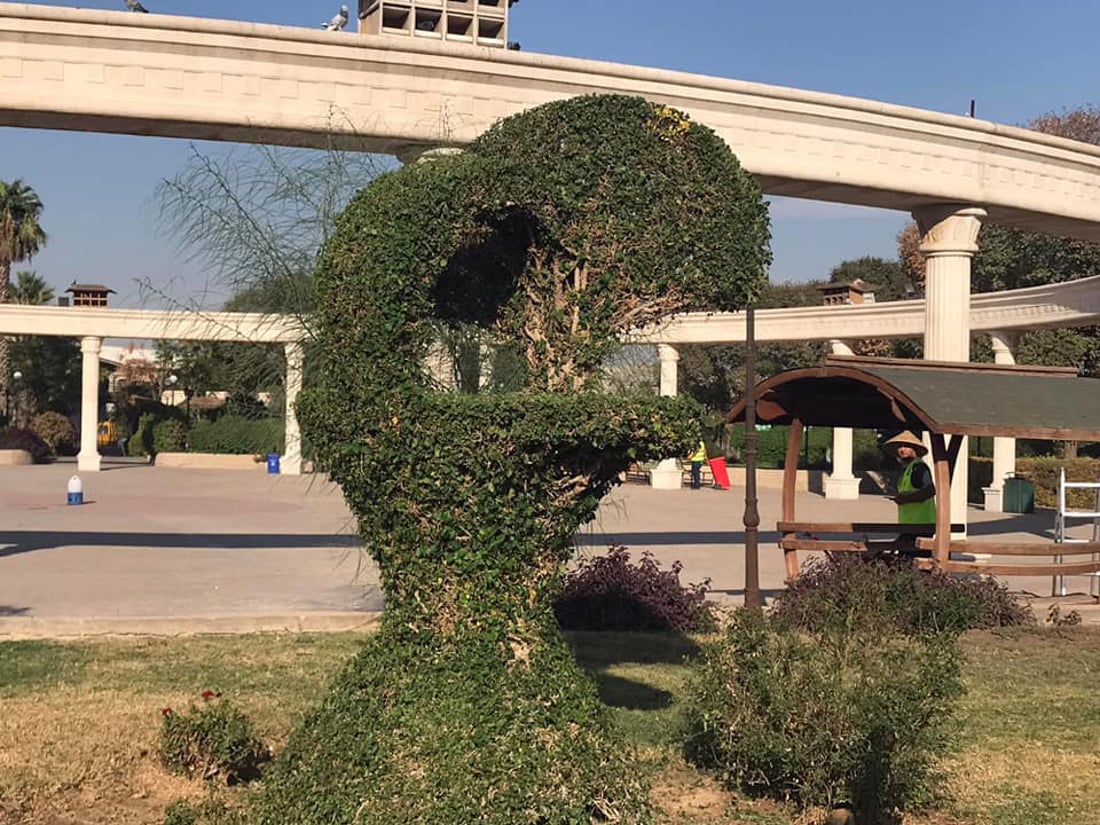 تیمێكی شێوه‌كارى ئاژه‌ڵ و باڵنده‌ له‌ناو هه‌ولێر بڵاوده‌كه‌نه‌وه‌