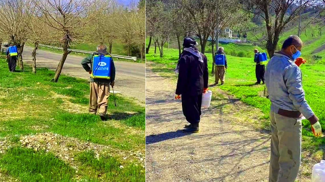 شارەوانی چوارتا هەڵمەتی لەناوبردنی گژوگیای بەهارەی دەستپێکرد