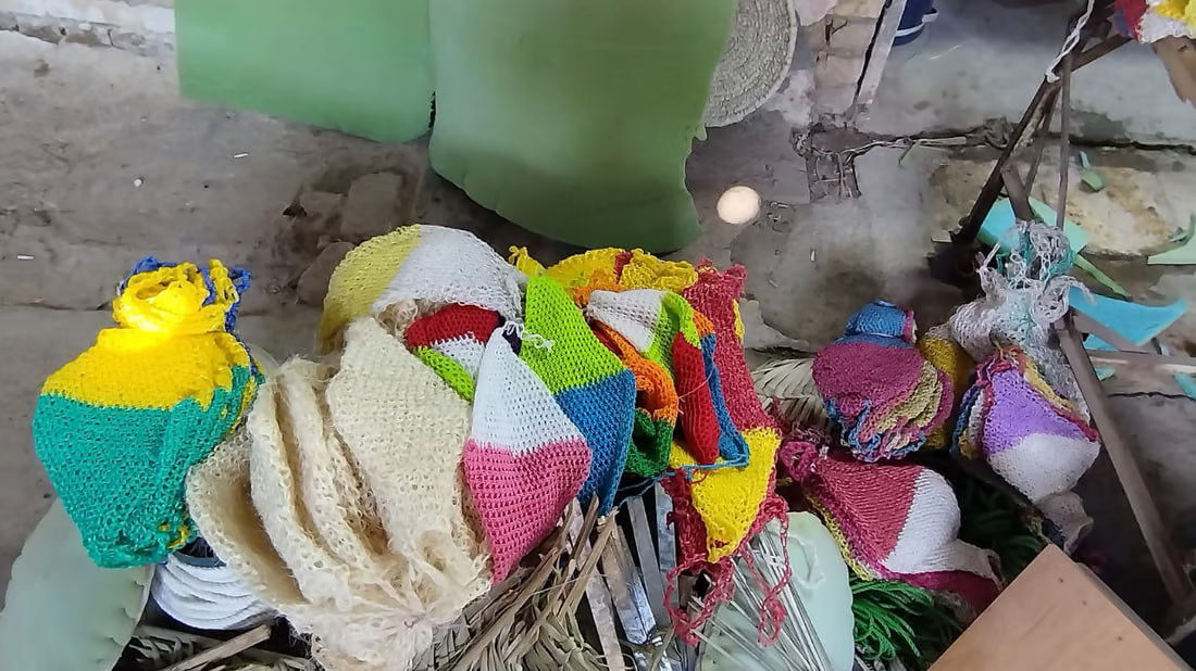 Traditional loofahs in demand despite competition from imports