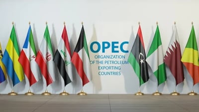 بغداد ليست أبو ظبي في أوبك.. التحالف ينهار بانسحاب العراق المؤسس – تقرير أوربي