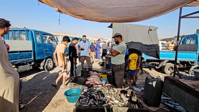 سمك القائم “شخاط” بـ750.. هناك سمتي الفرات طبعاً وسلفر الجنوب