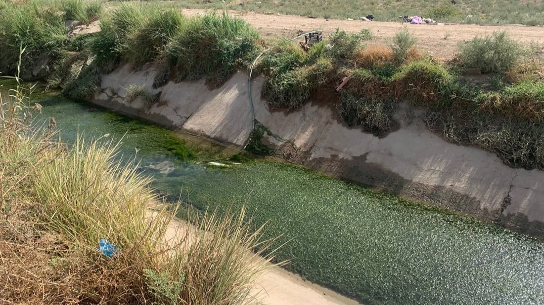 “أم العصافير” البغدادية تشرب من دجلة بلا تصفية.. مناعتنا تقل ونخشى الأمراض