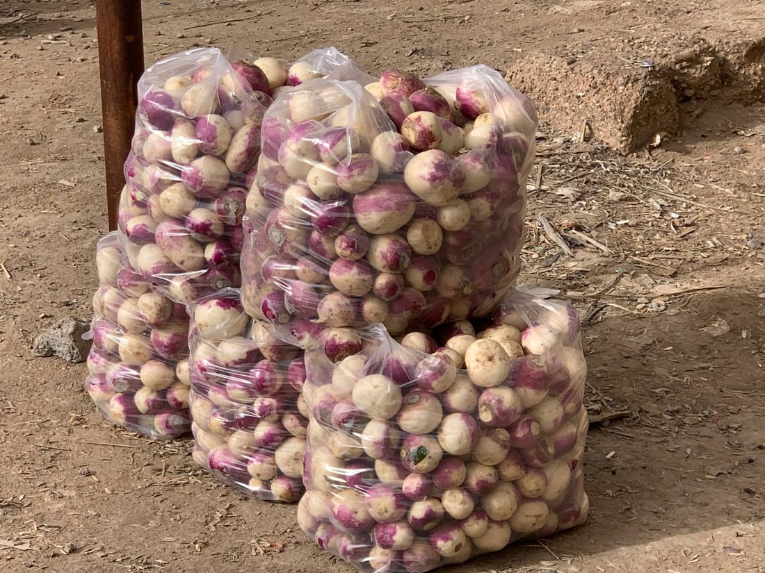 أبو غريب: انخفاض أسعار الشلغم إلى النصف.. والبطاطا أول الأسباب